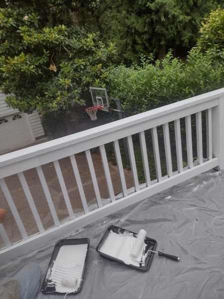 IMG 20220819 084213185 HDR - Deck Baluster Replacement